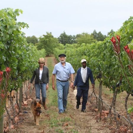 Belfield Wines And Farm Cottages Grabouw Buitenkant foto