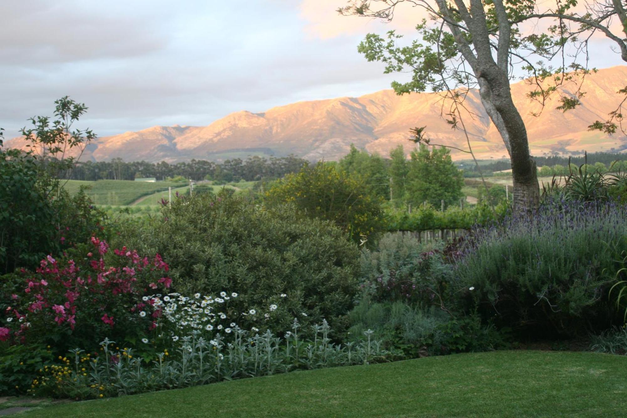 Belfield Wines And Farm Cottages Grabouw Buitenkant foto