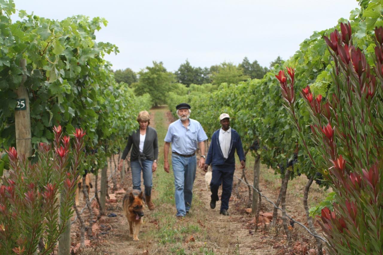 Belfield Wines And Farm Cottages Grabouw Buitenkant foto