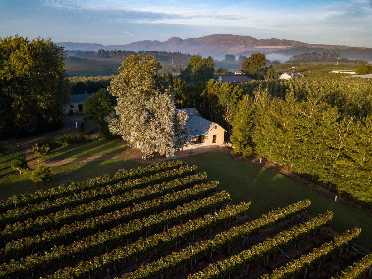 Belfield Wines And Farm Cottages Grabouw Buitenkant foto